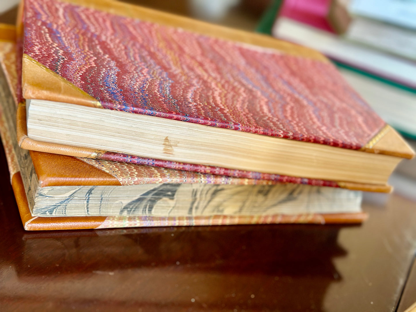 Antique and Vintage Scandinavian Leather Bound Books (Set of 2)