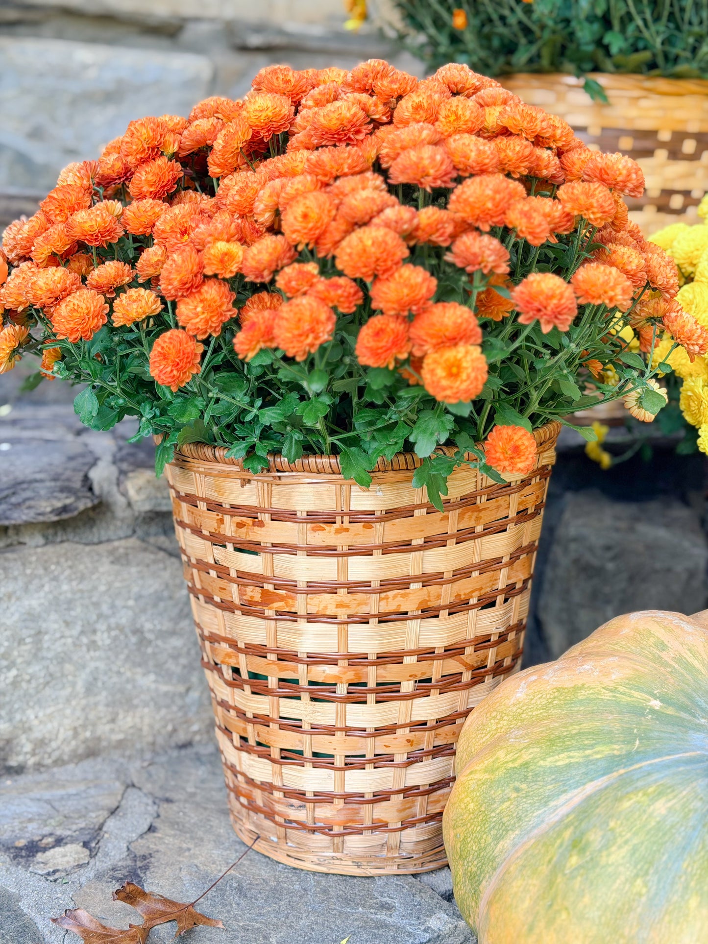 Wicker Baskets