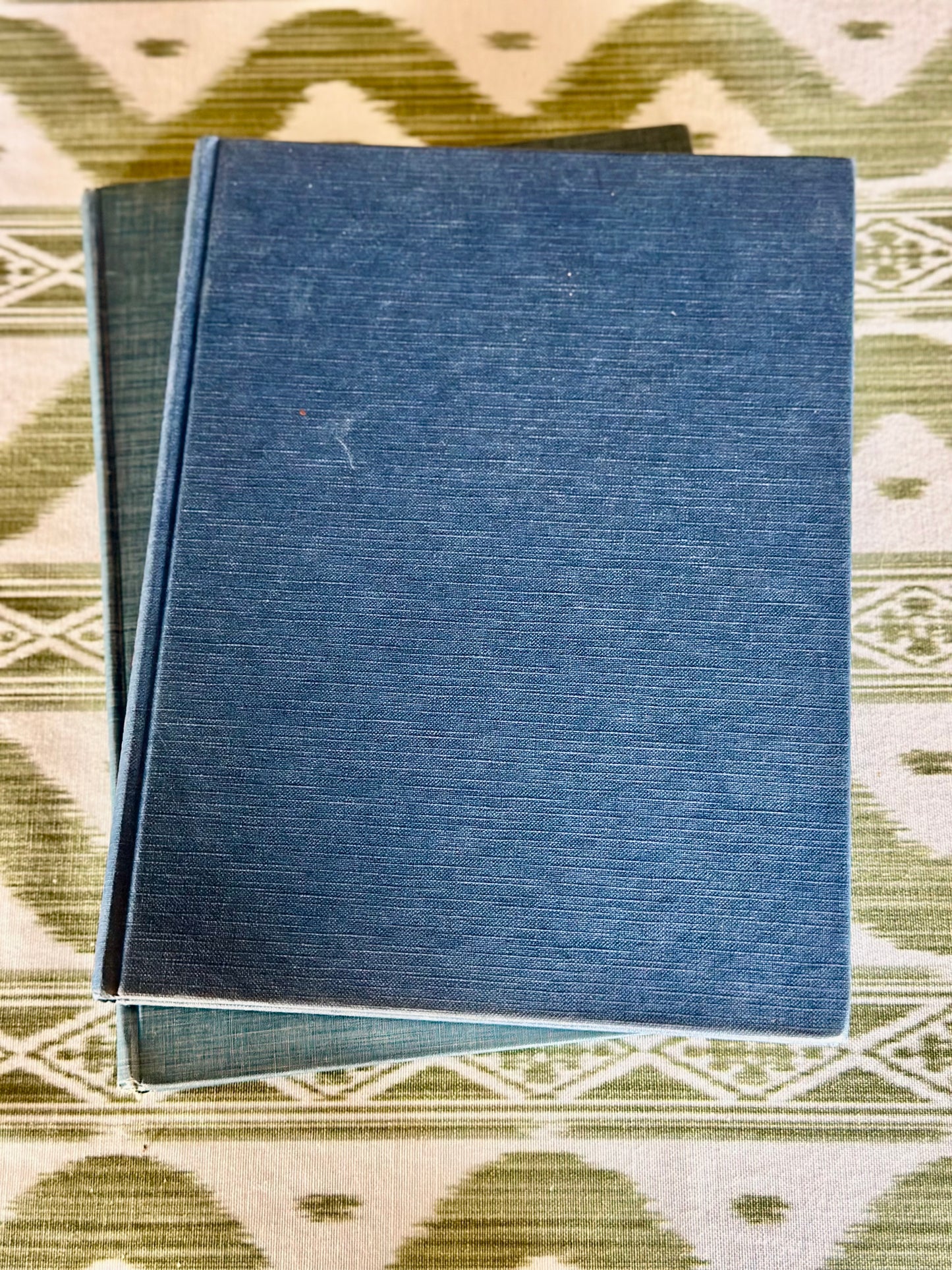 Blue Coffee Table Book Duo