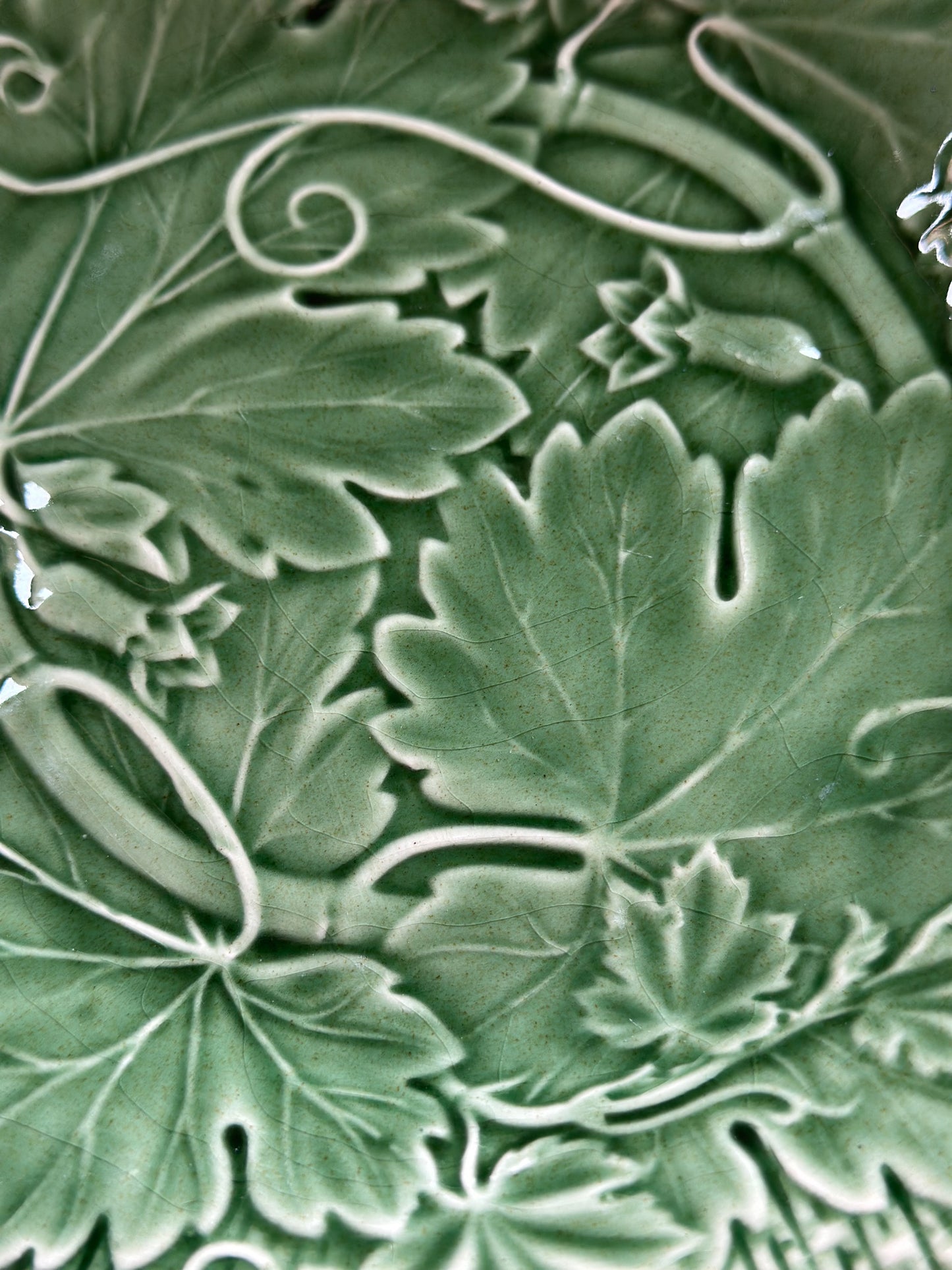 Bordallo Pinheiro Vine Green Salad Plate Set (Set of 12)