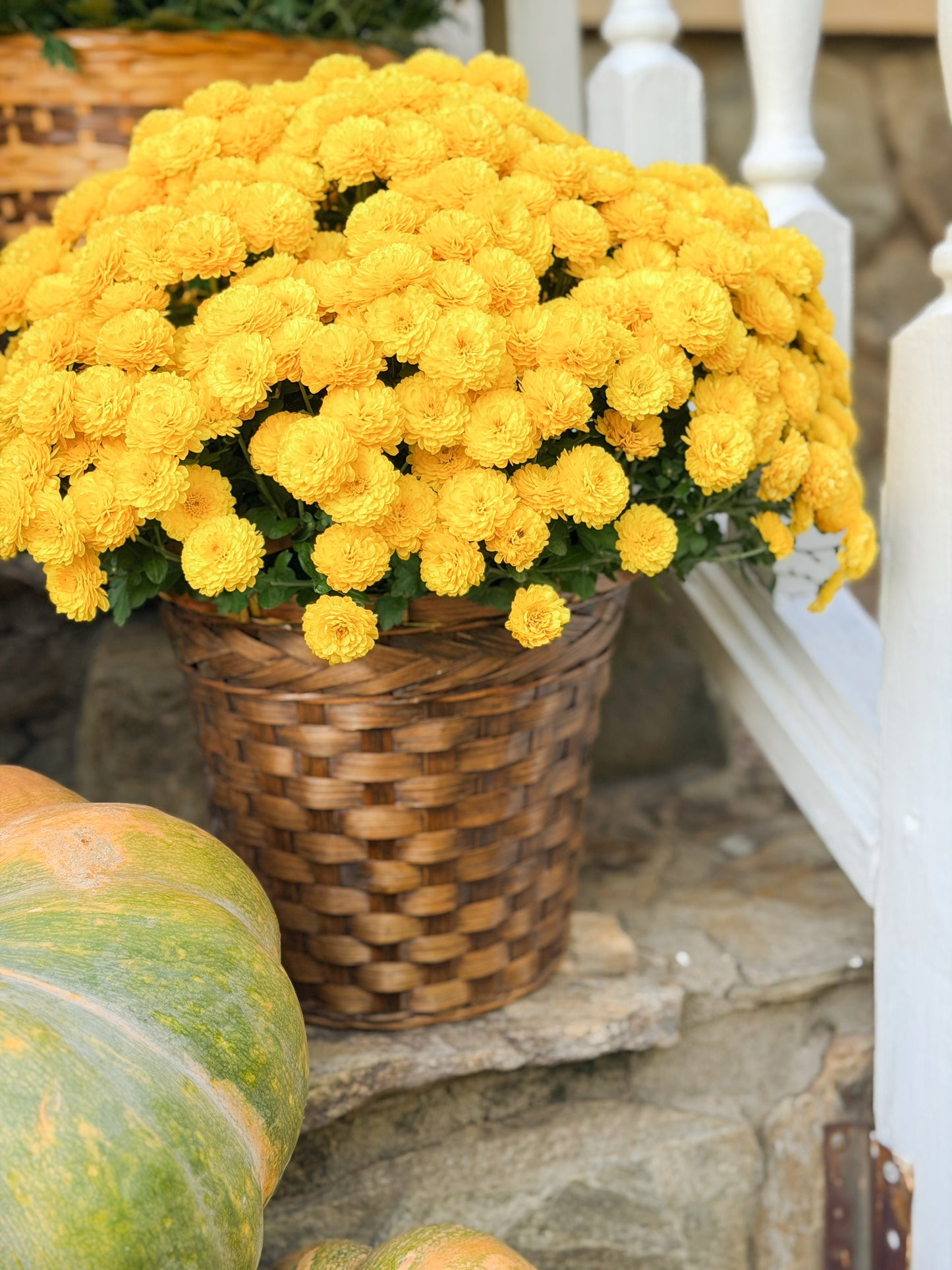 Wicker Baskets