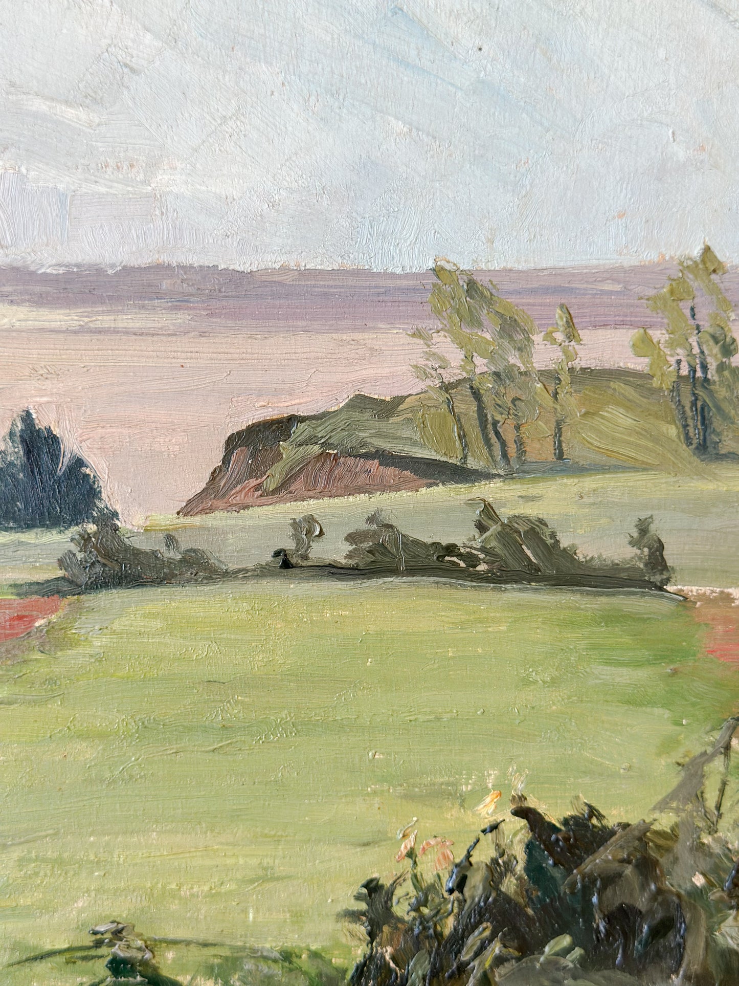 ‘Cows Grazing’ Oil on Board Painting