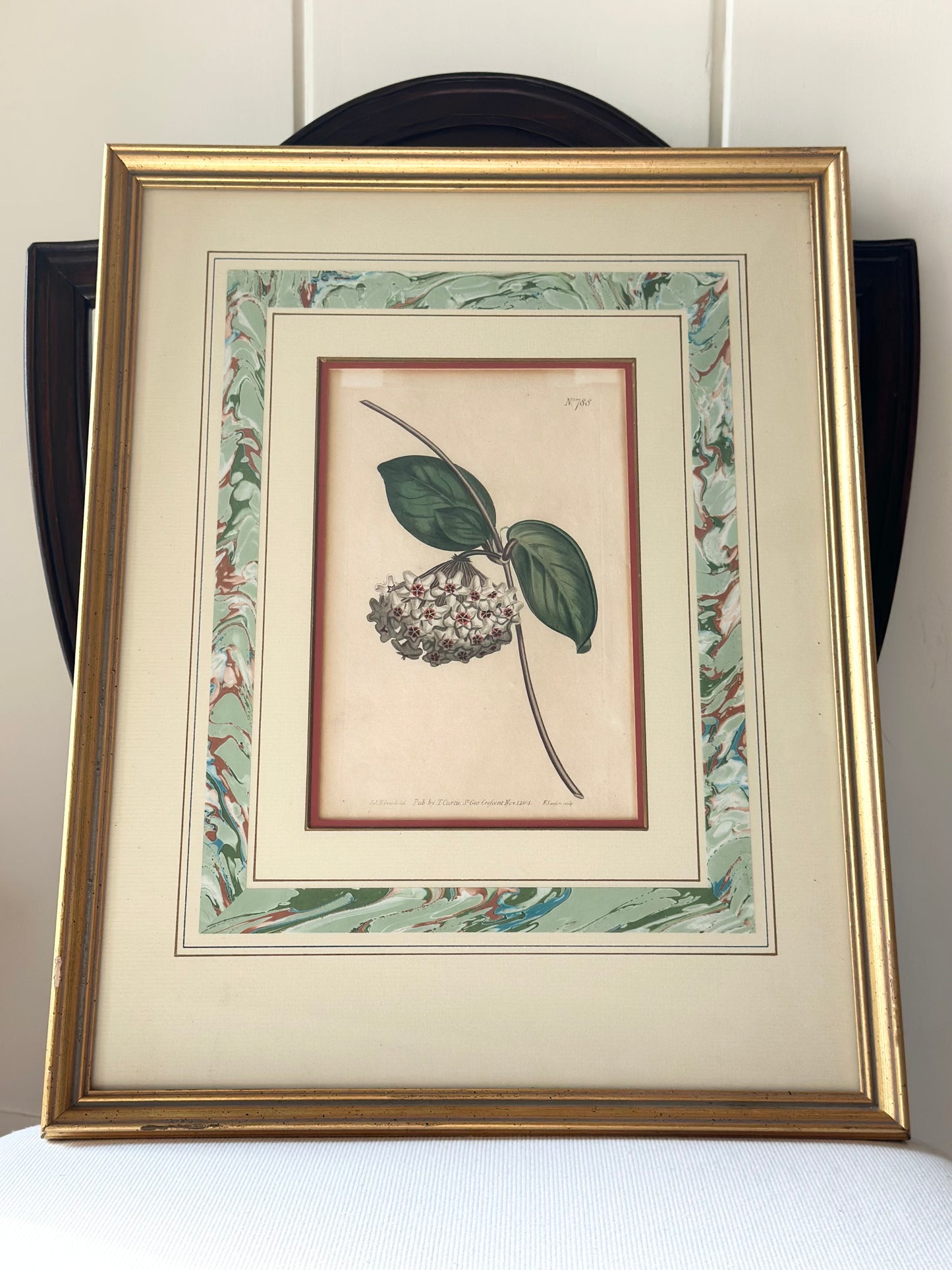 Antique Botanical Hand-Colored Framed Prints (Set of 2)