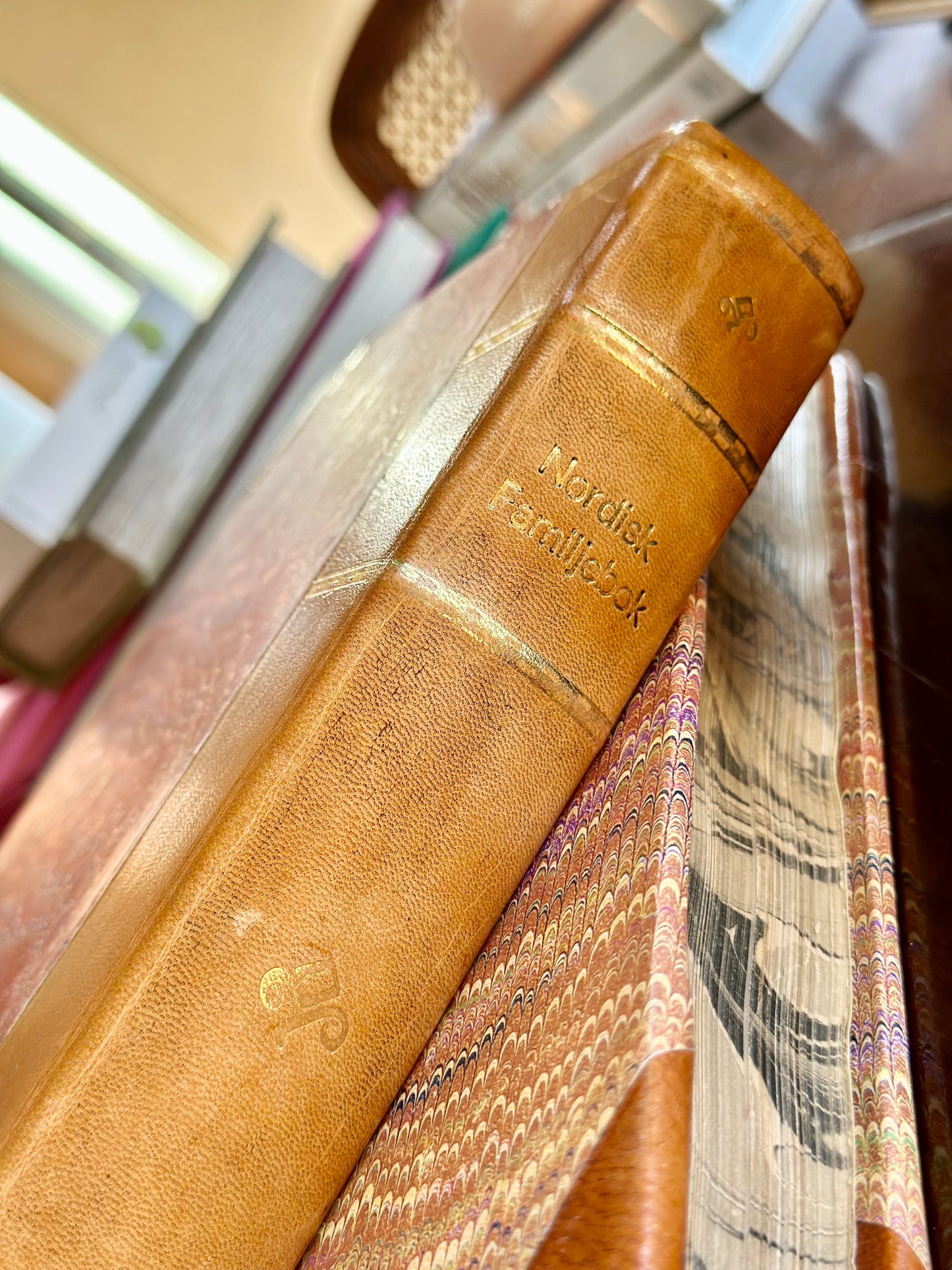 Antique and Vintage Scandinavian Leather Bound Books (Set of 2)