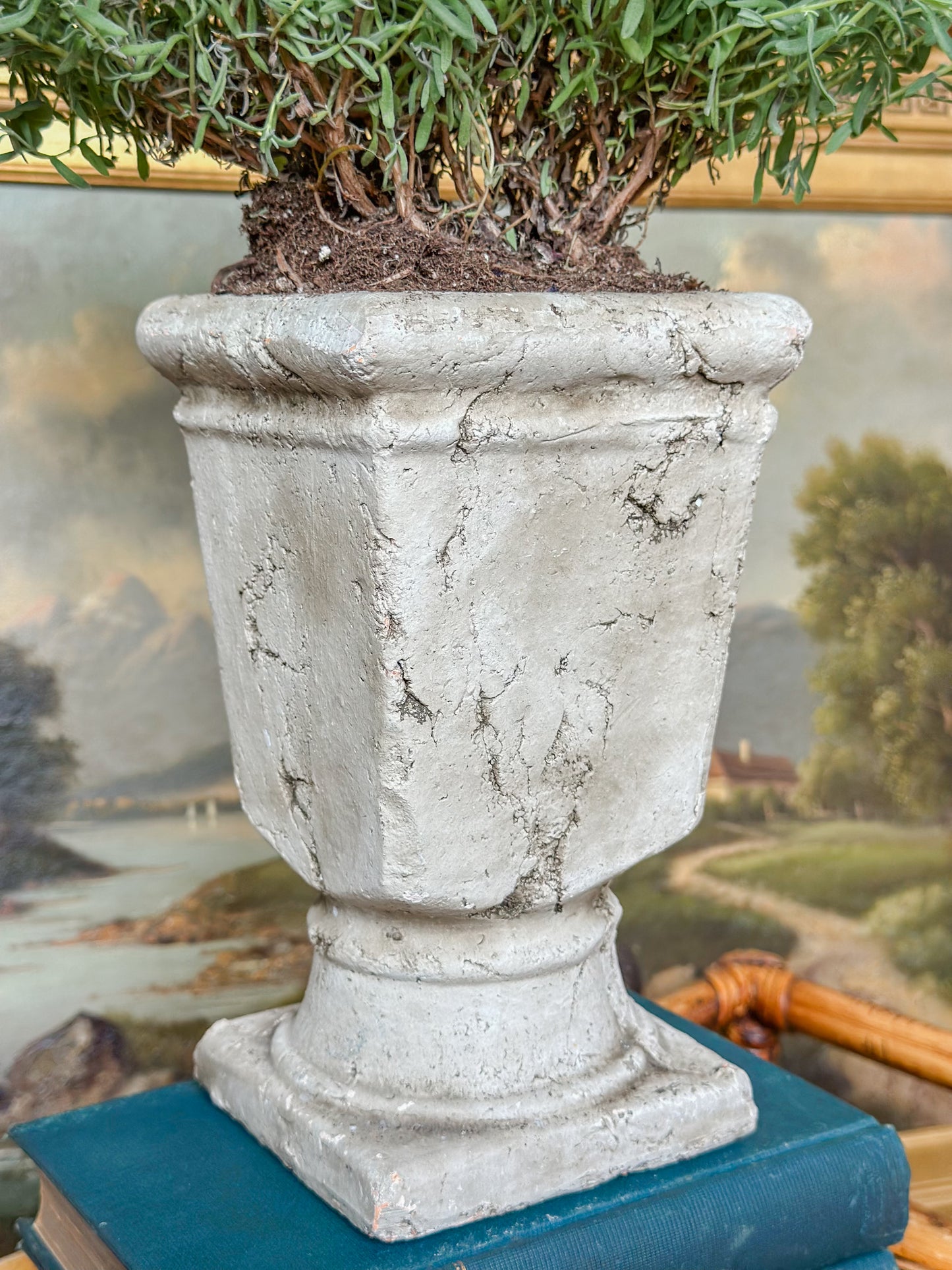 Cement Pedestal Planter