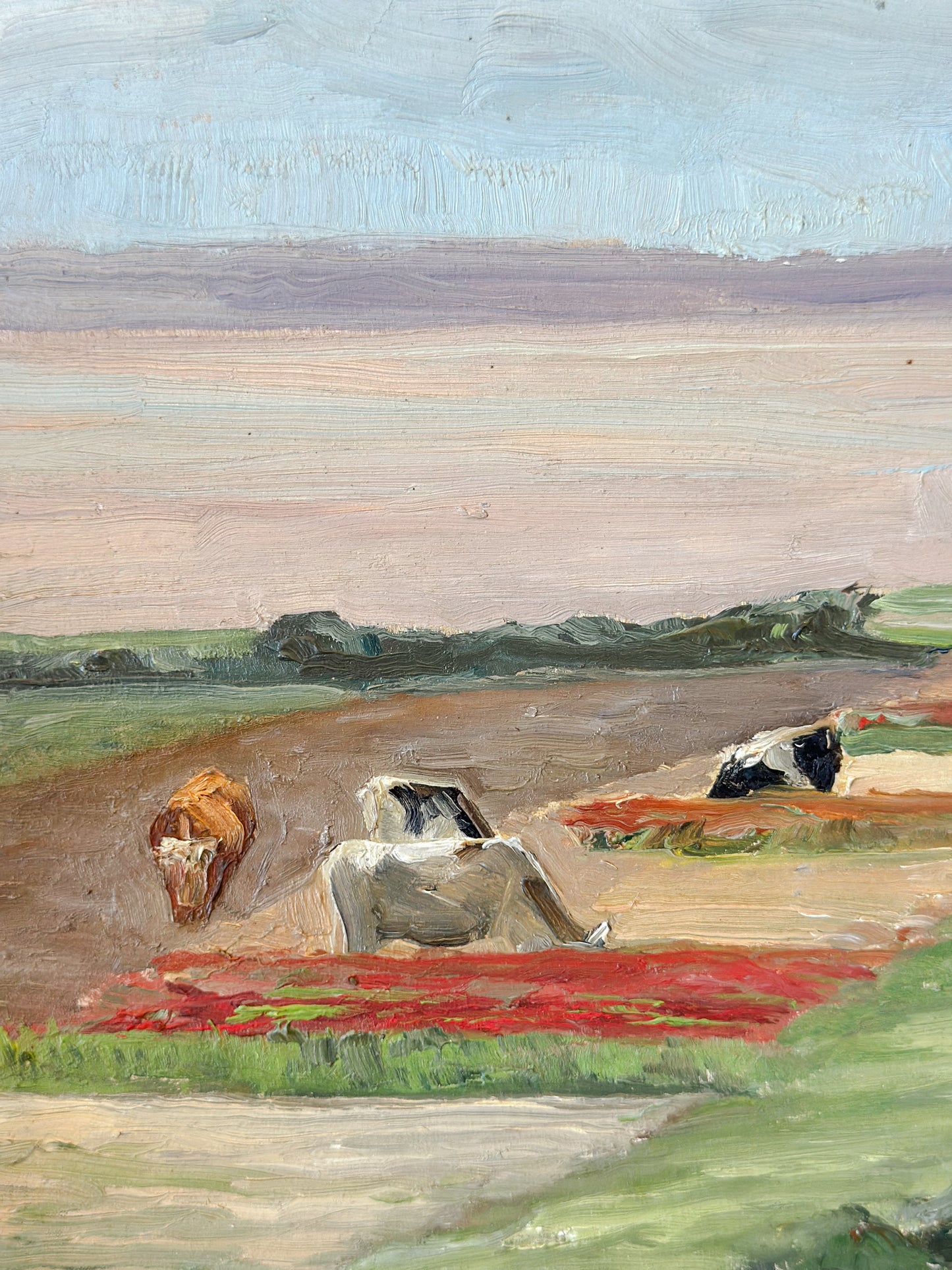 ‘Cows Grazing’ Oil on Board Painting