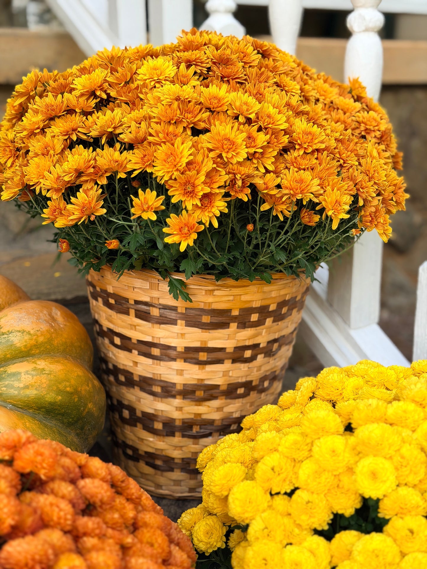 Wicker Baskets