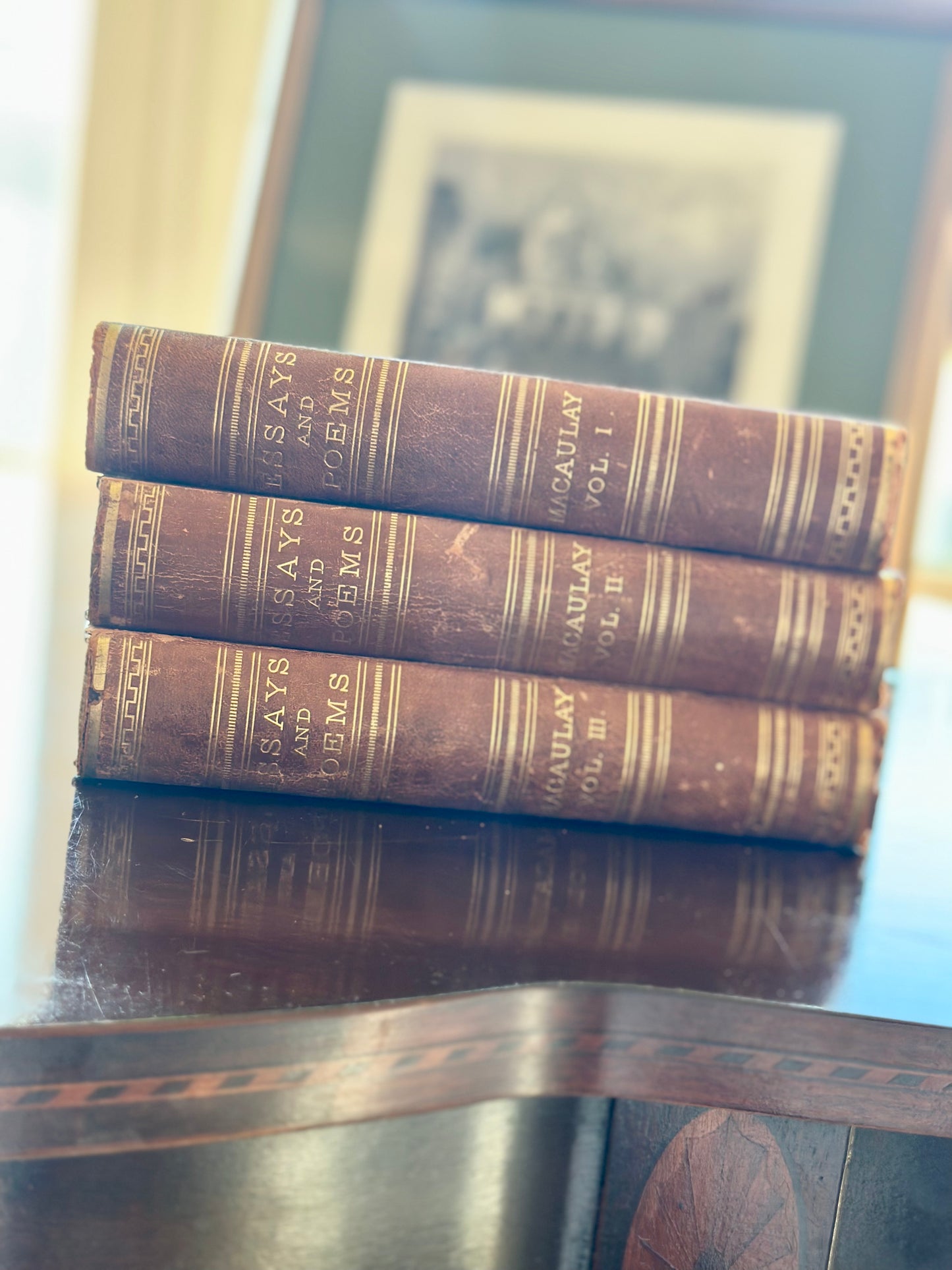 Antique Leather Bound Books (Set of 3)