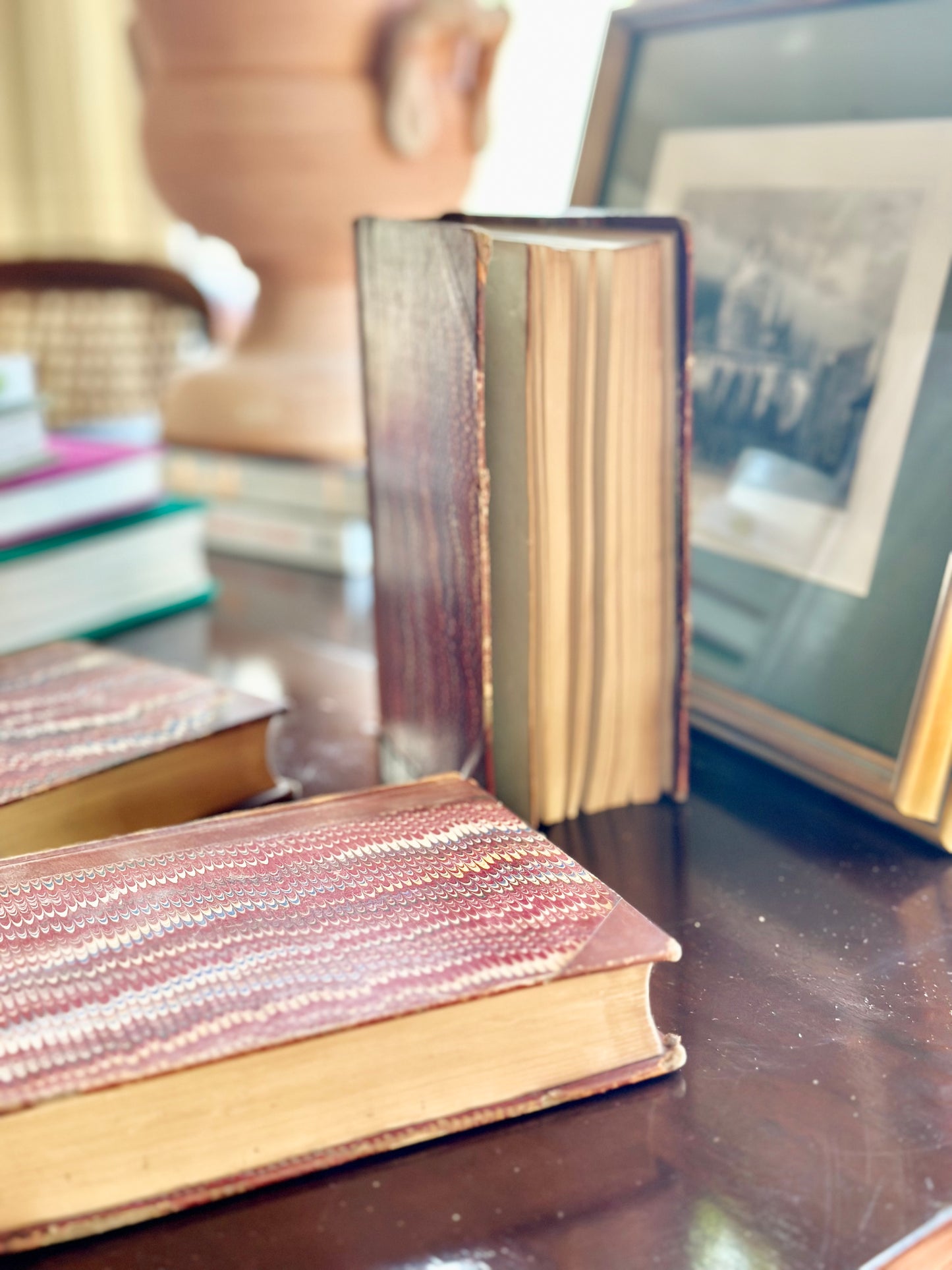 Antique Leather Bound Books (Set of 3)