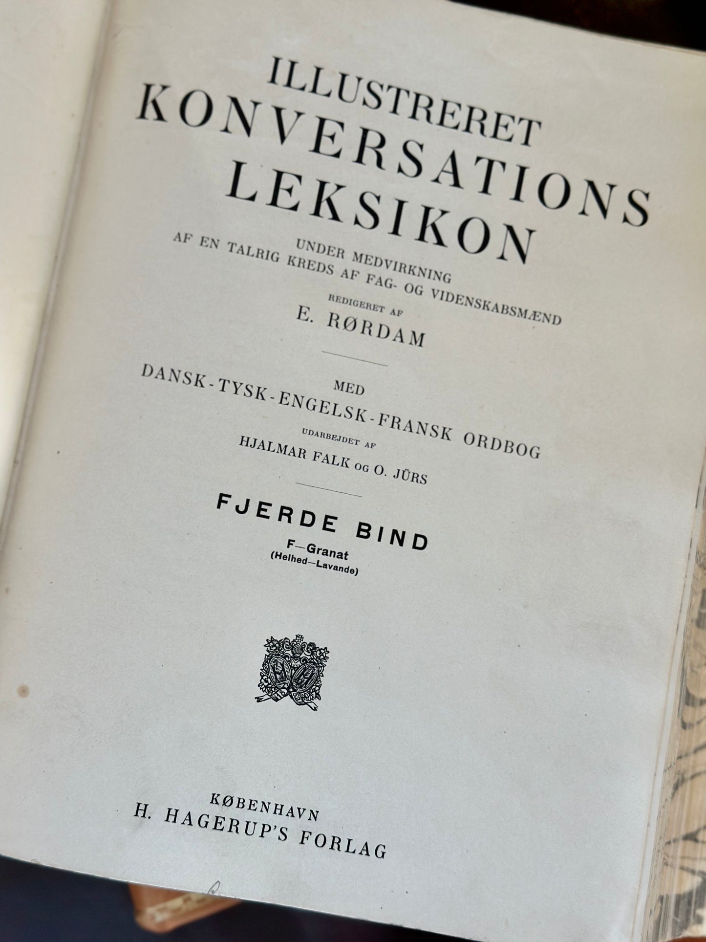 Antique and Vintage Scandinavian Leather Bound Books (Set of 2)