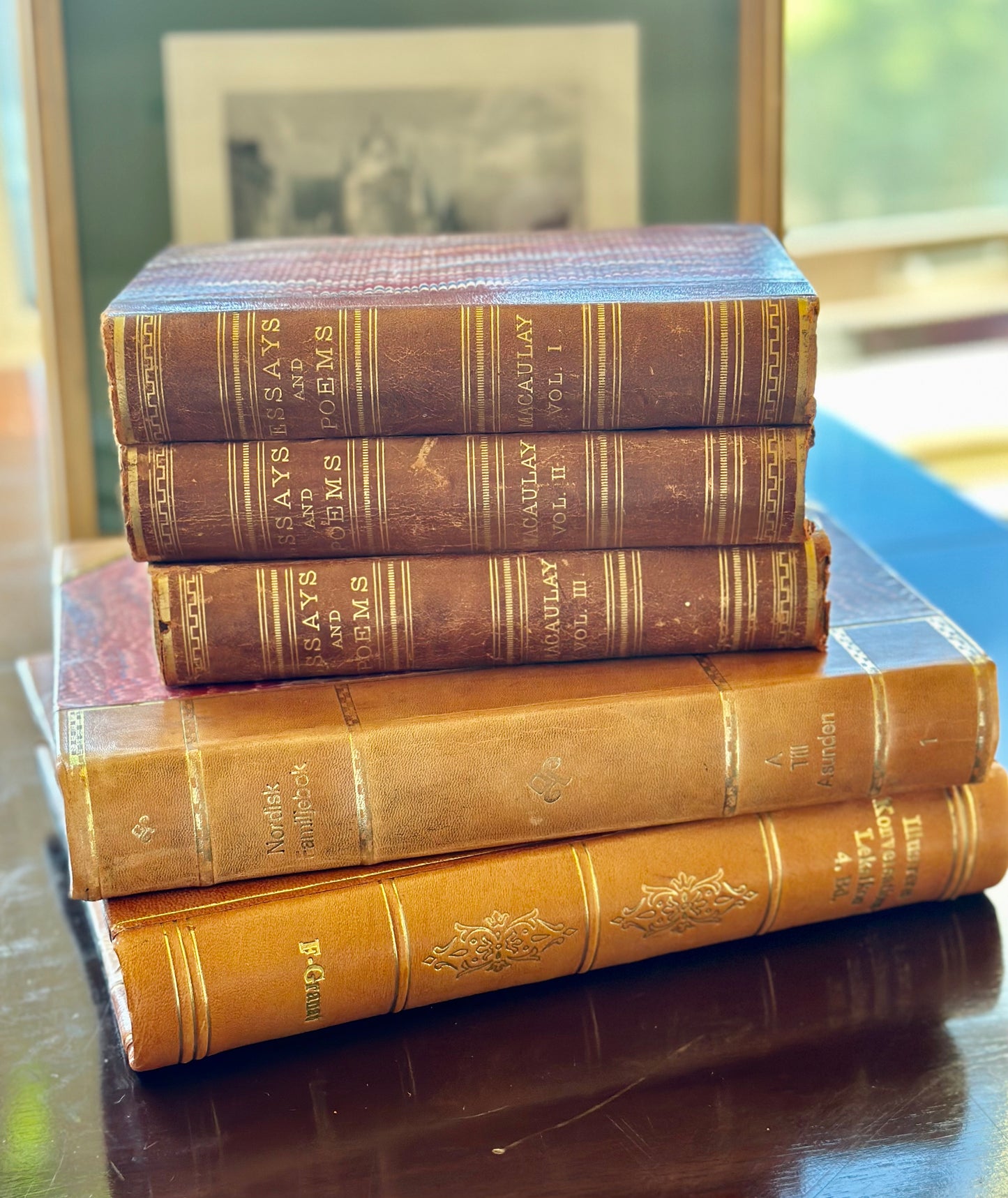 Antique Leather Bound Books (Set of 3)