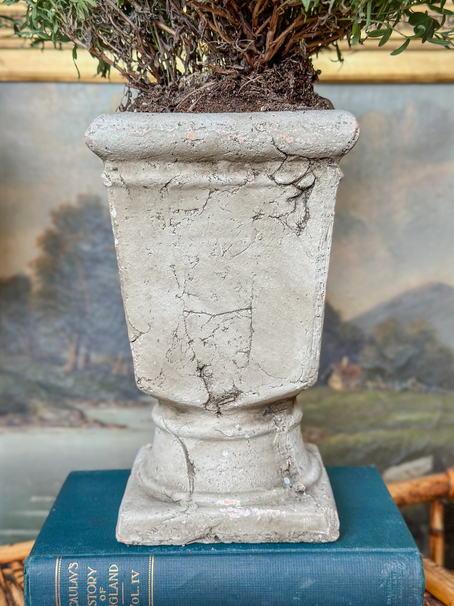 Cement Pedestal Planter