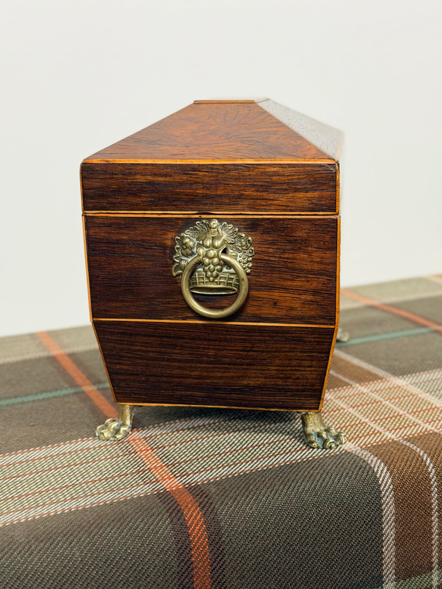 Antique Rosewood Tea Caddy on Paw Feet