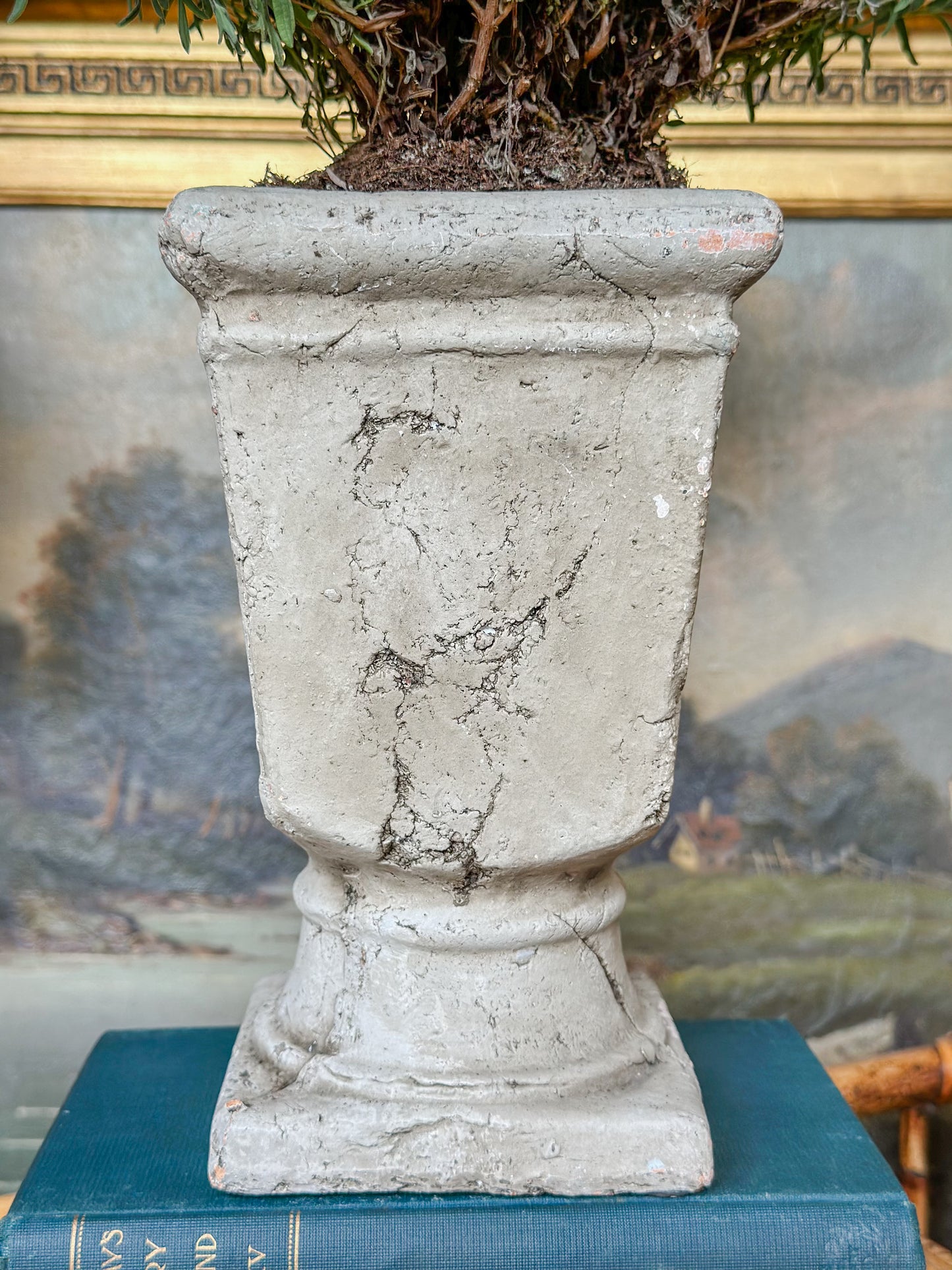 Cement Pedestal Planter