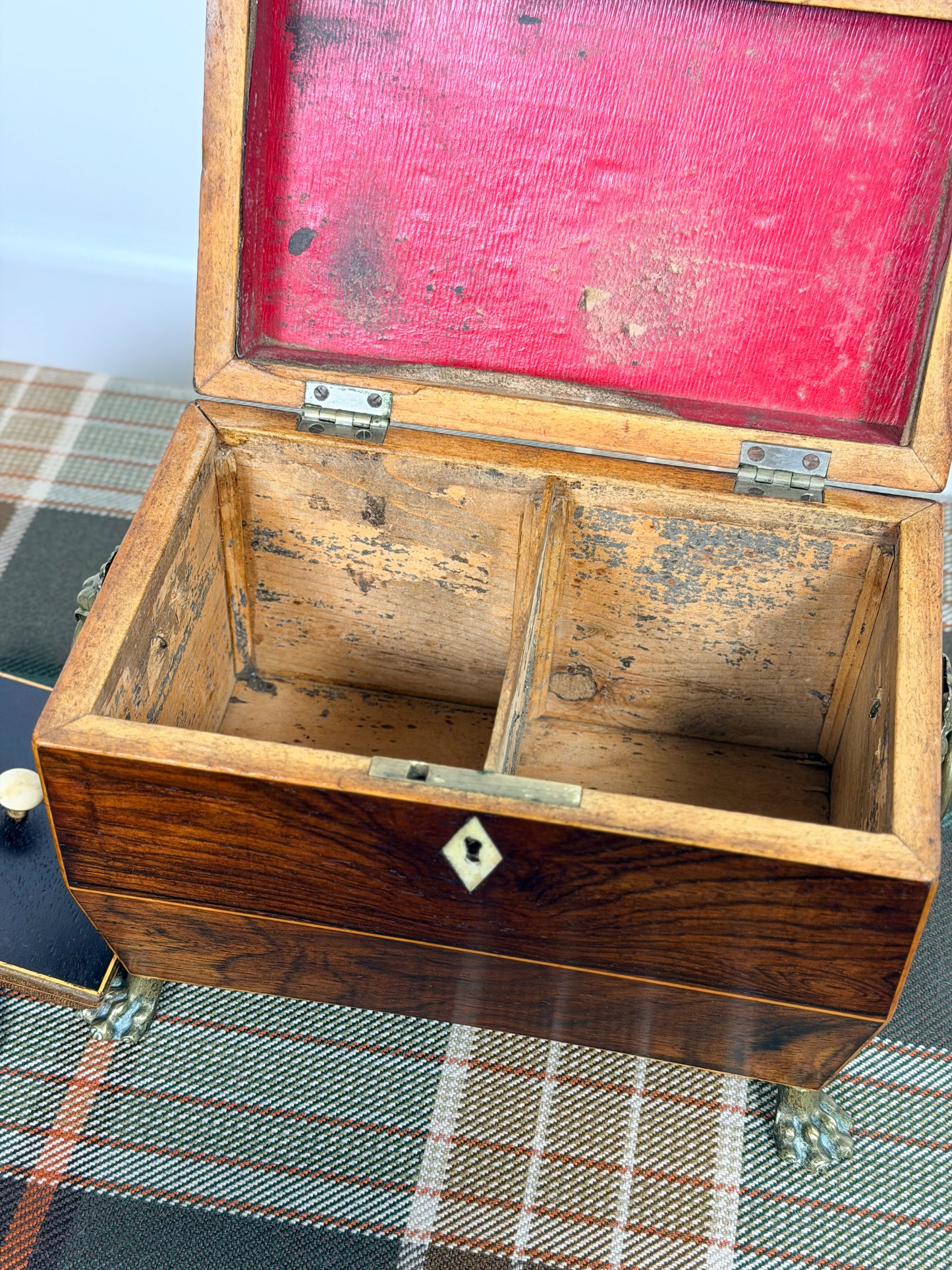 Antique Rosewood Tea Caddy on Paw Feet