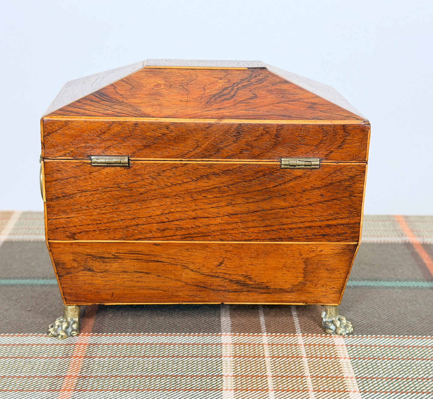 Antique Rosewood Tea Caddy on Paw Feet