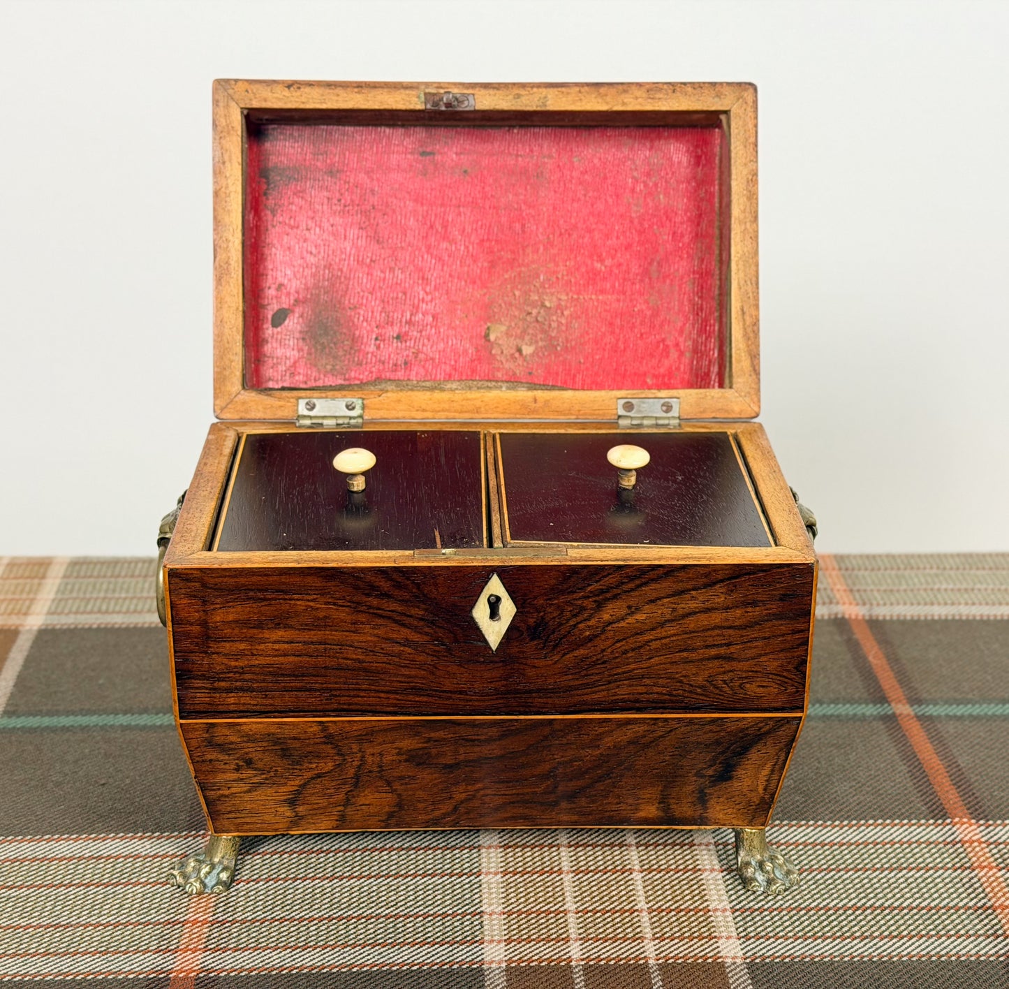 Antique Rosewood Tea Caddy on Paw Feet