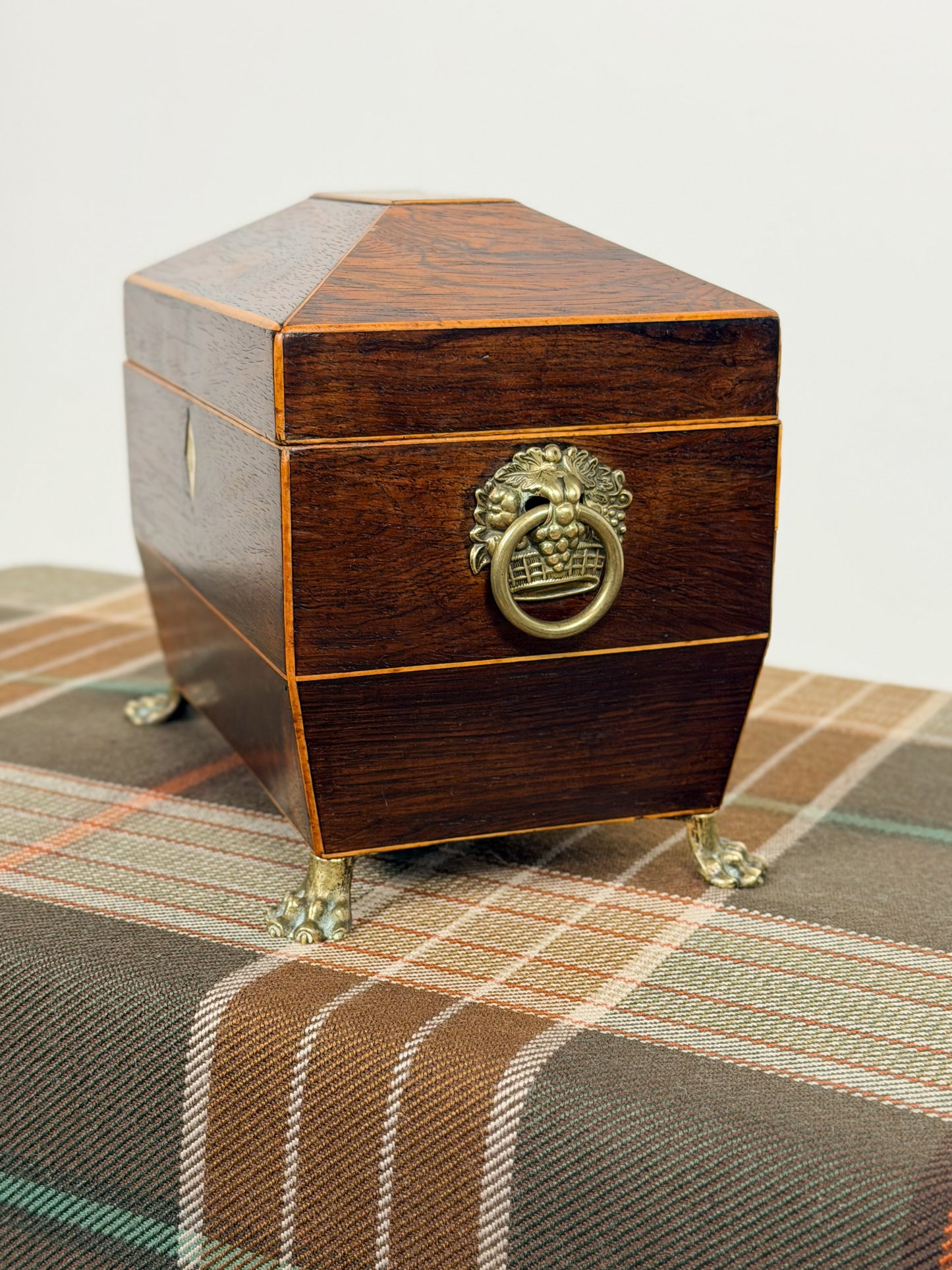 Antique Rosewood Tea Caddy on Paw Feet