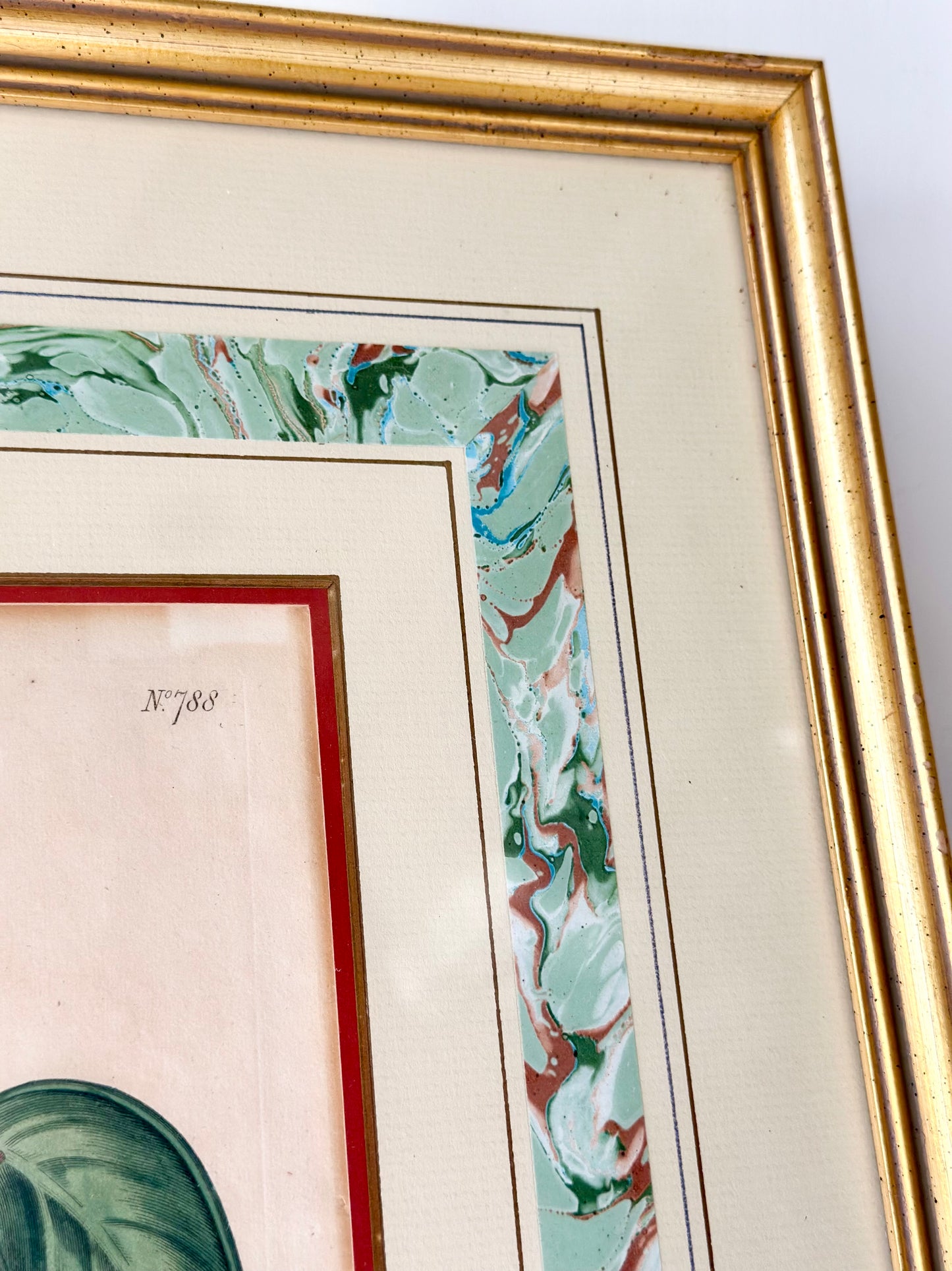 Antique Botanical Hand-Colored Framed Prints (Set of 2)