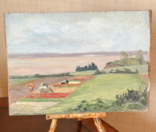 ‘Cows Grazing’ Oil on Board Painting