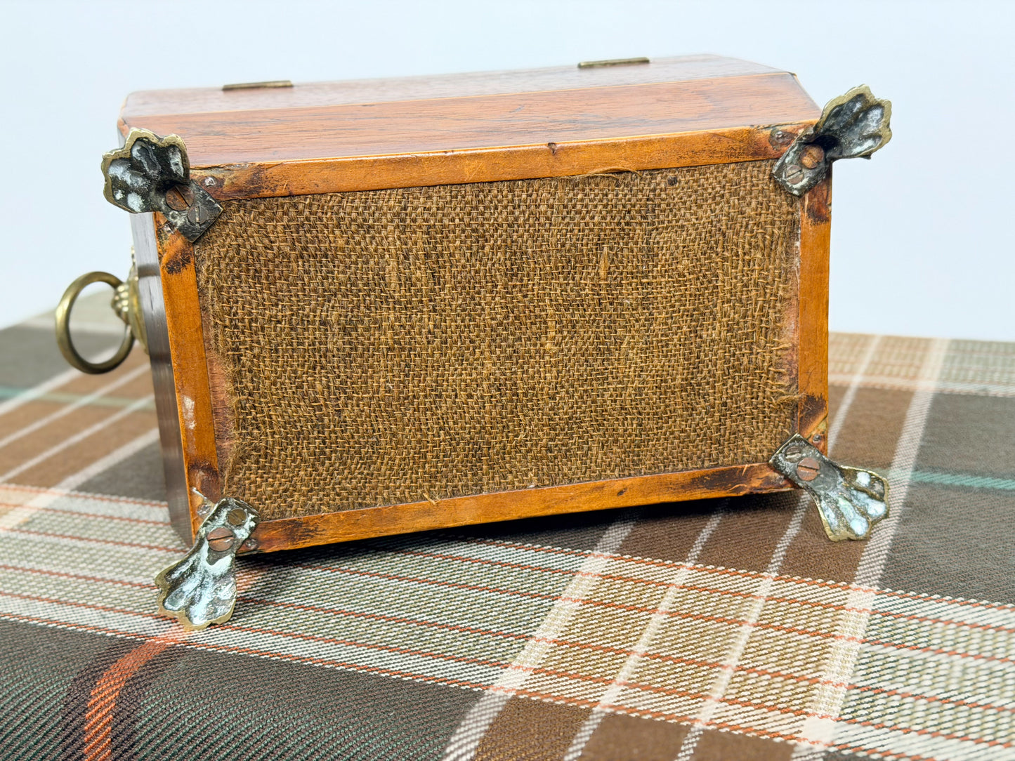 Antique Rosewood Tea Caddy on Paw Feet