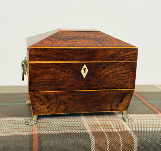 Antique Rosewood Tea Caddy on Paw Feet