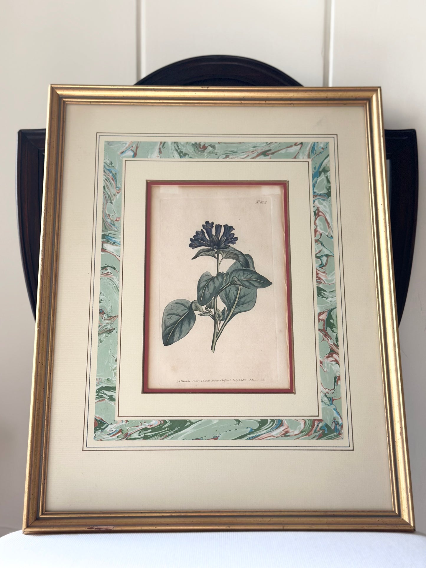 Antique Botanical Hand-Colored Framed Prints (Set of 2)