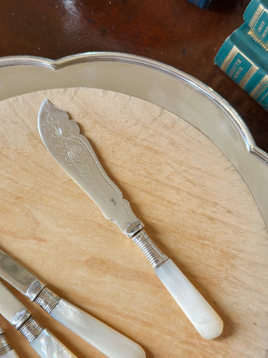 Antique Mother of Pearl Handled Butter Knife