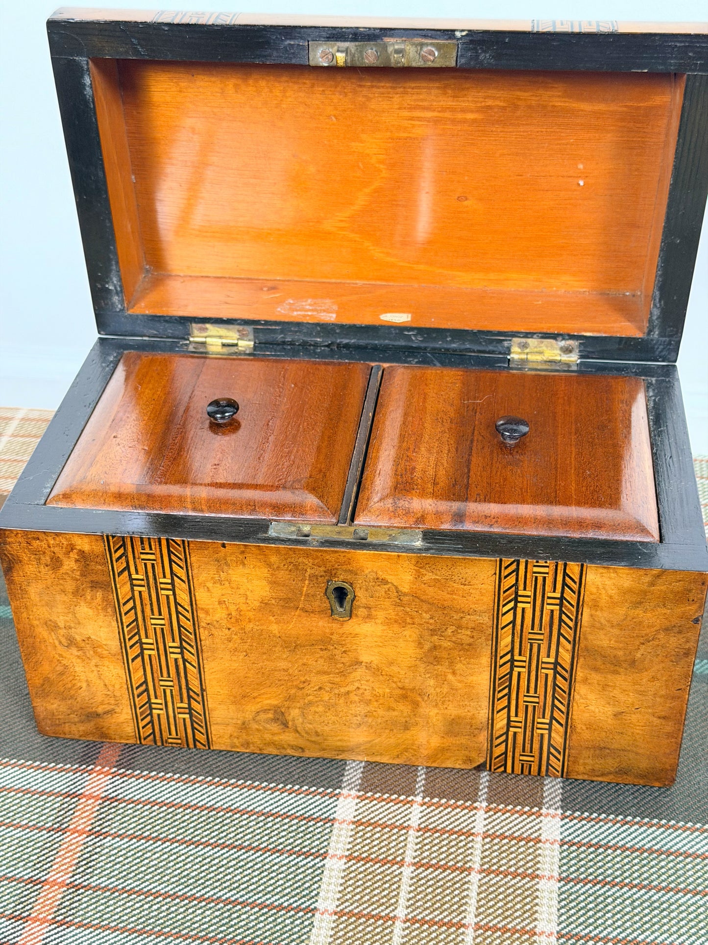 Antique Burl Walnut Dome Top Tea Caddy