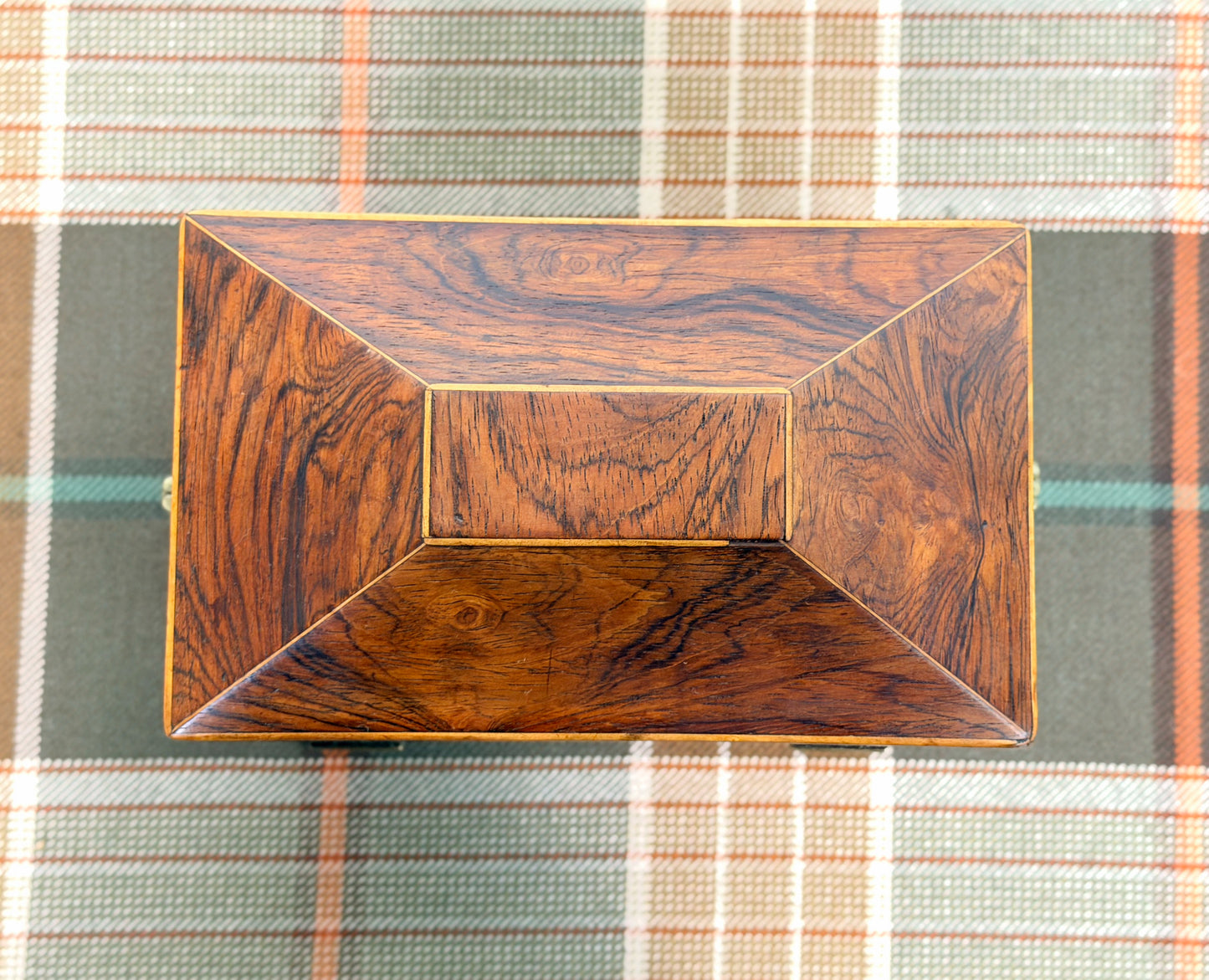 Antique Rosewood Tea Caddy on Paw Feet